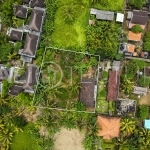 850m2 Stunning Land At Residential Area Ubud 3
