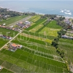 1000m2 Stunning Land With Ricefield View Seseh 2