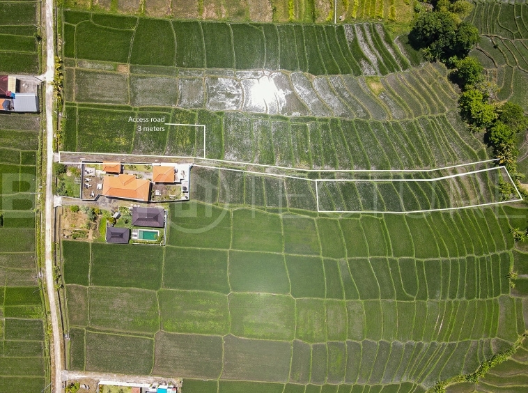 1000m2 Stunning Land With Ricefield View Seseh 3