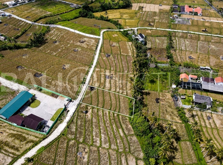 1400m2 Stunning land With Ricefield View And Riverside 4