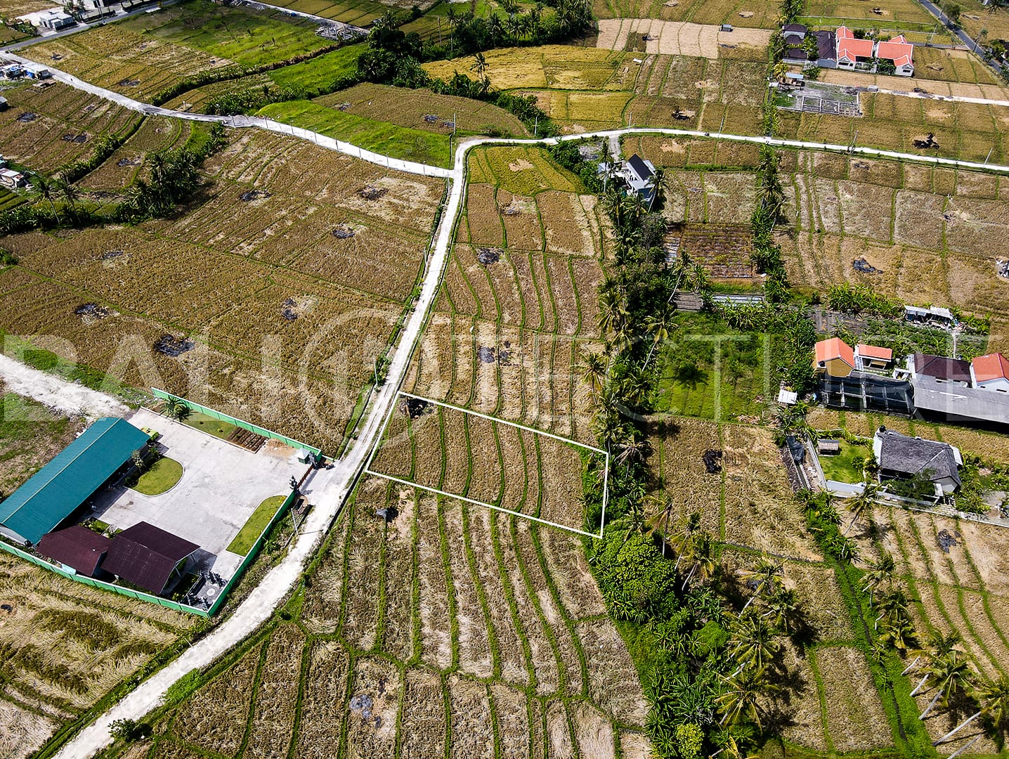 1400m2 Stunning land With Ricefield View And Riverside 4
