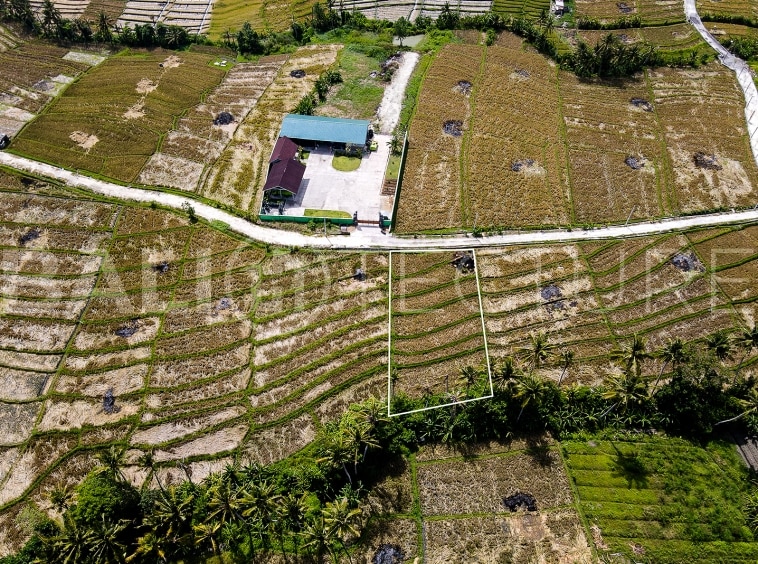 1400m2 Stunning land With Ricefield View And Riverside 5