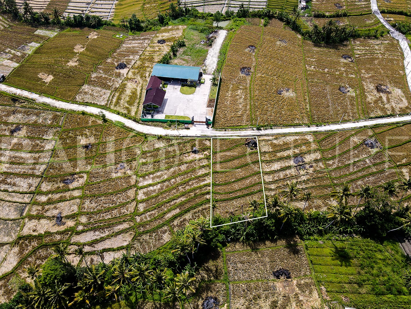 1400m2 Stunning land With Ricefield View And Riverside 5