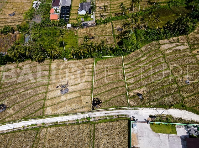 1400m2 Stunning land With Ricefield View And Riverside 6