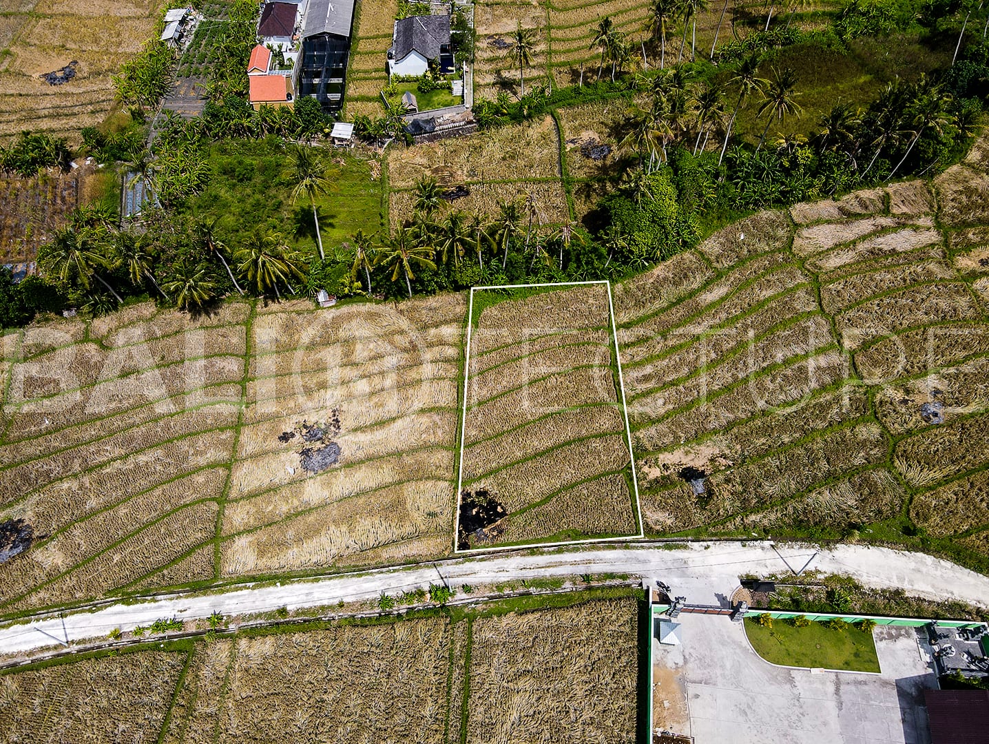 1400m2 Stunning land With Ricefield View And Riverside 6