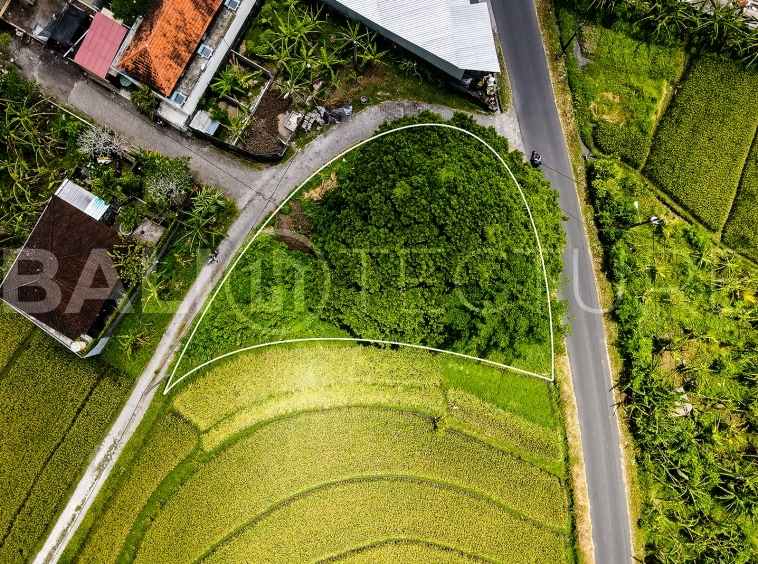 500m2 Stunning Land With Ricefield View Kaba Kaba 3