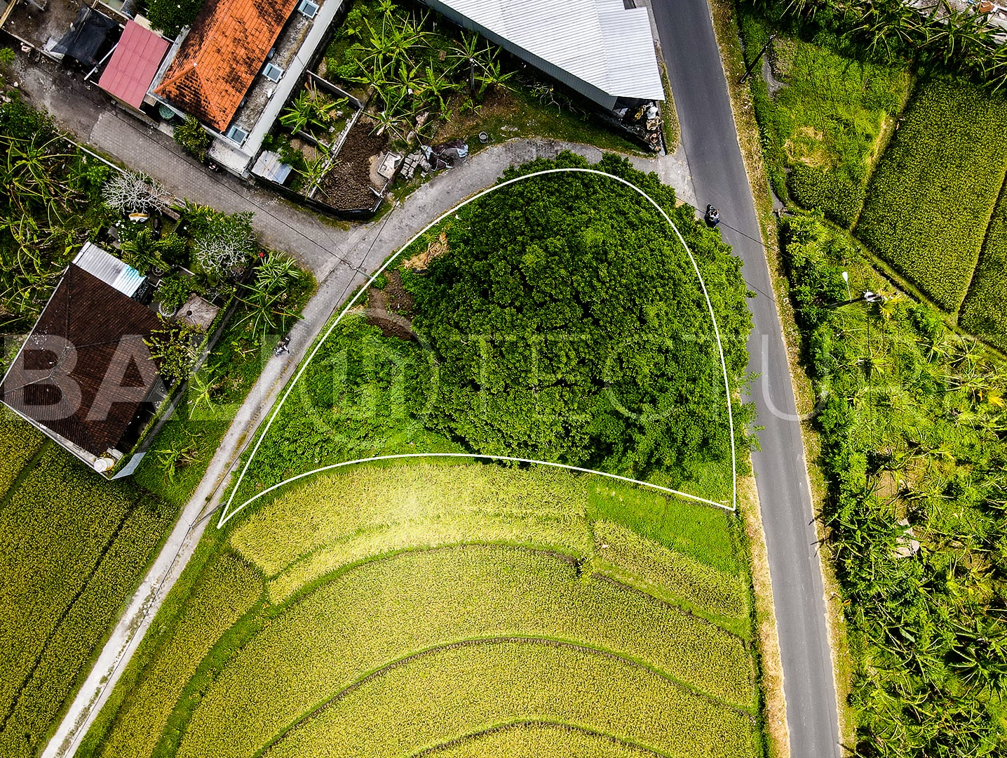 500m2 Stunning Land With Ricefield View Kaba Kaba 3