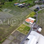 700m2 Stunning Land With Beautiful Terraced View 3