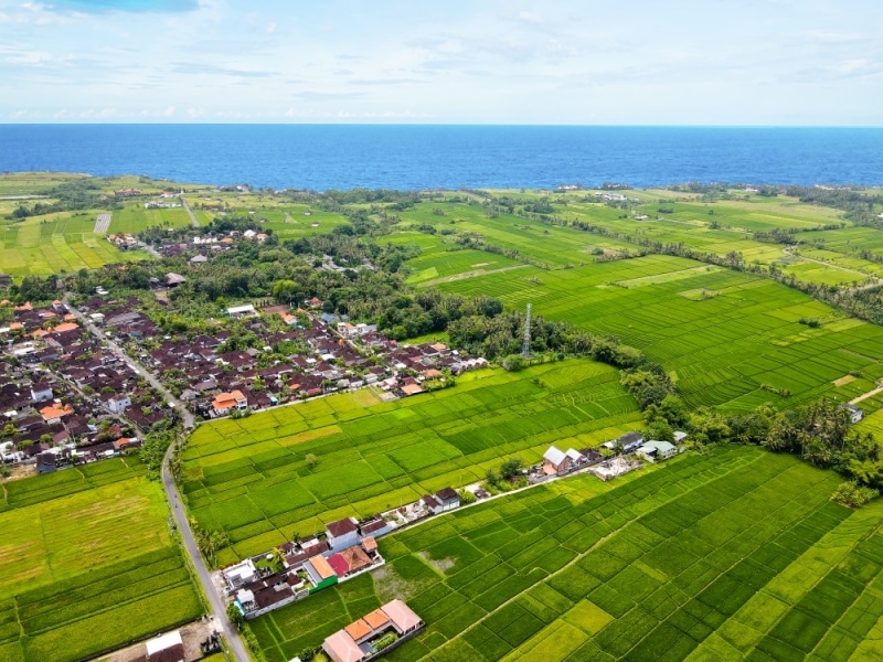 Buying Land in Bali as a Foreigner in 5 Steps with the Best Tips