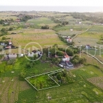 843m2 Stunning Land with Ricefield View In Cemagi 1