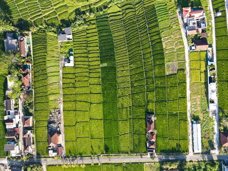 due diligence when buying land