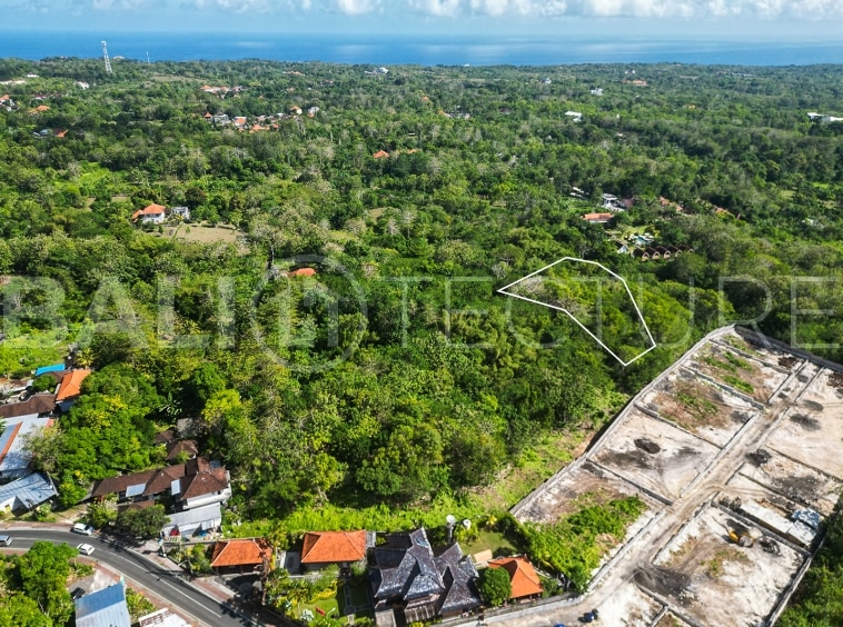 1000m2 Stunning Land Jungle In Uluwatu 3