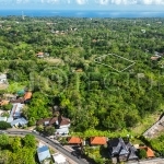 2000m2 Stunning Land Jungle In Uluwatu 2
