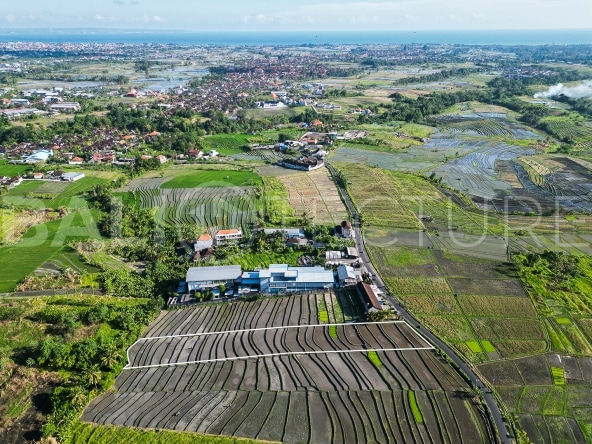 2925m2 Stunning Land With Ricefield View In Kaba Kaba 1