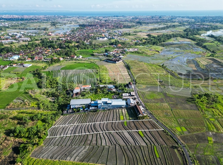 2925m2 Stunning Land With Ricefield View In Kaba Kaba 1