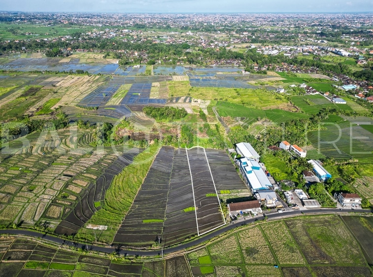 2925m2 Stunning Land With Ricefield View In Kaba Kaba 2