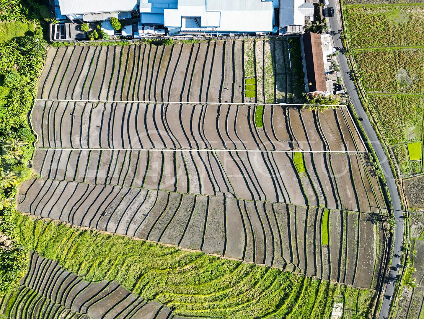 2925m2 Stunning Land With Ricefield View In Kaba Kaba 4