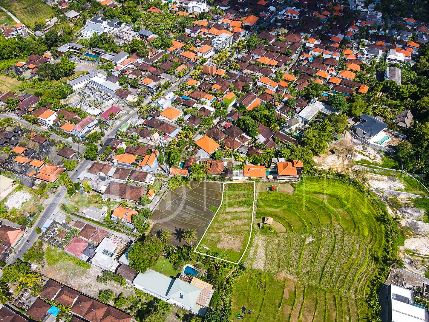 1140m2 Amazing Land With Ricefield View In Pererenan 3