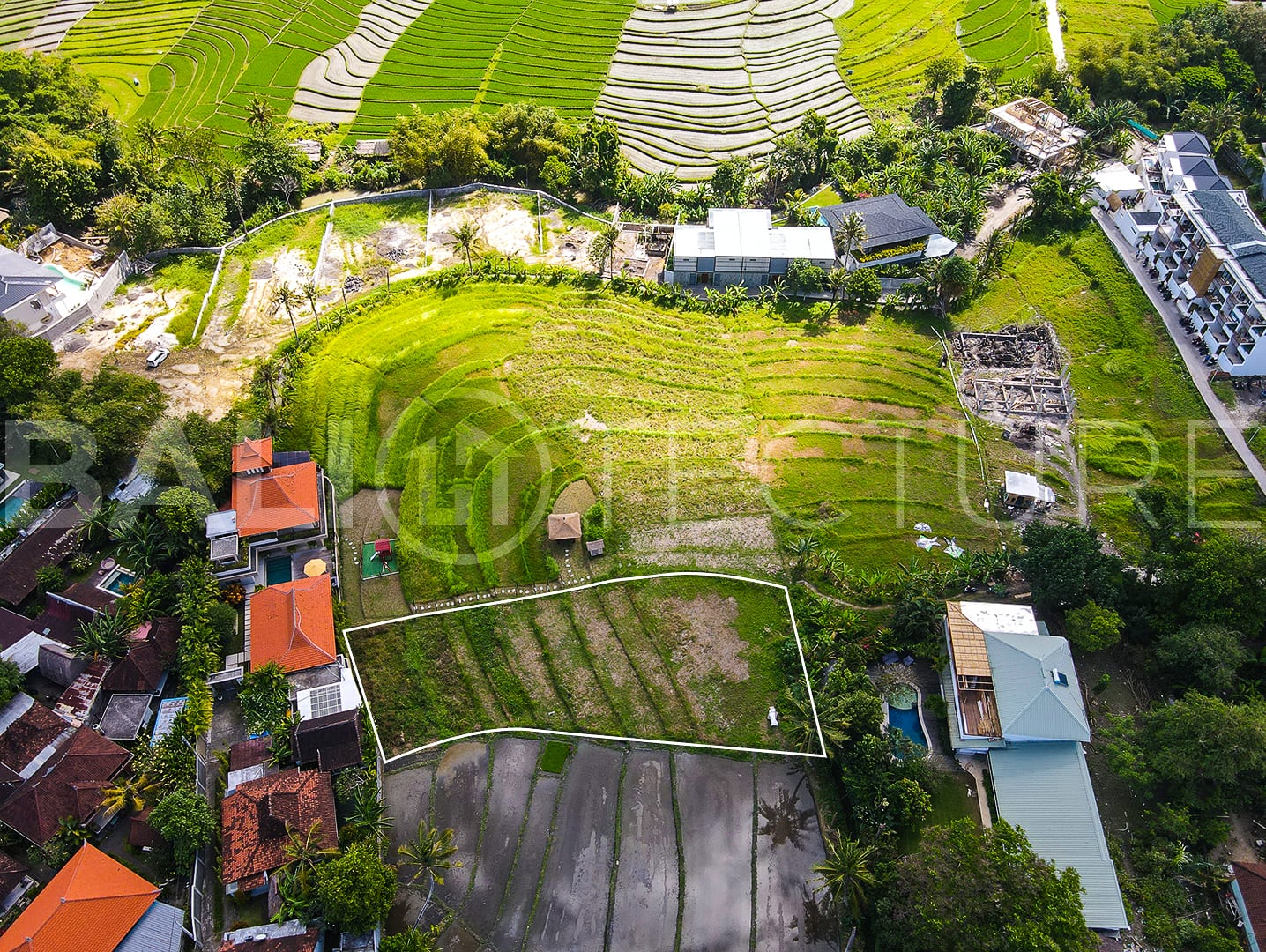 1140m2 Amazing Land With Ricefield View In Pererenan 1