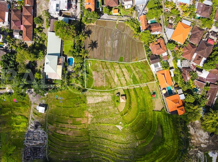 1140m2 Amazing Land With Ricefield View In Pererenan 2