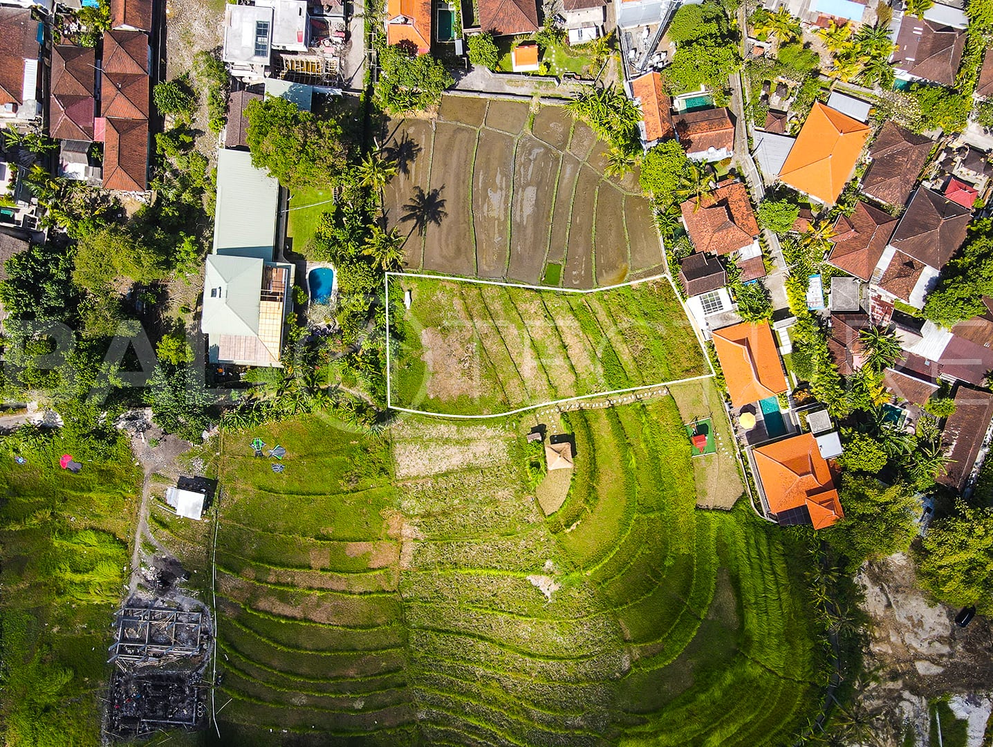 1140m2 Amazing Land With Ricefield View In Pererenan 2
