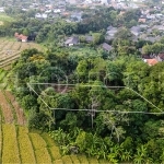 1180m2 Beautifull Land In Residential Umalas 4