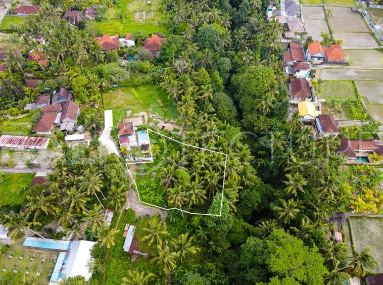 1200m2 ubud land for sale 5