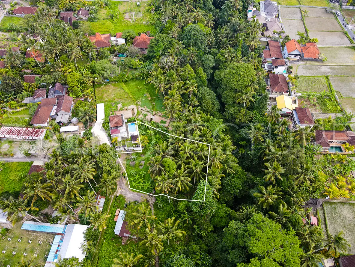 1200m2 ubud land for sale 5