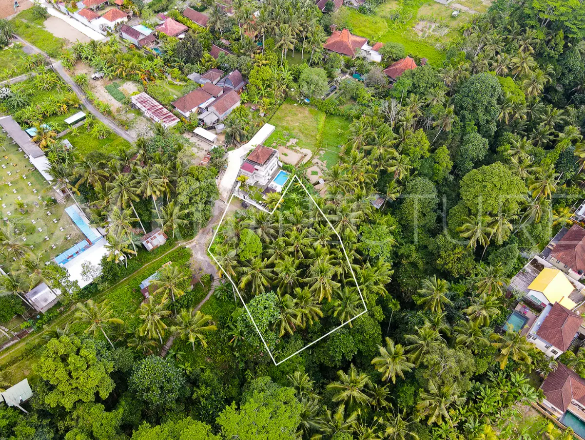 1200m2 ubud land for sale 4