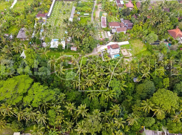 1200m2 ubud land for sale 3