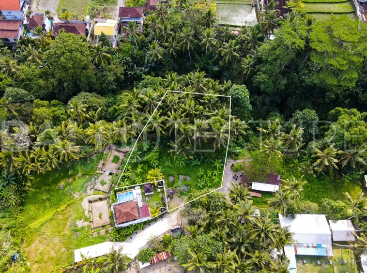 1200m2 ubud land for sale 2