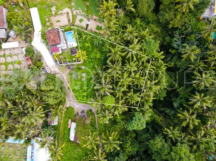 1200m2 ubud land for sale 6