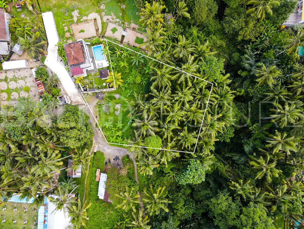 1200m2 ubud land for sale 6