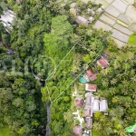1330m2 ubud land for sale 2