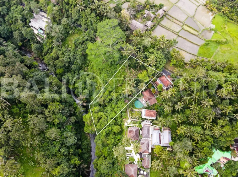 1330m2 ubud land for sale 2