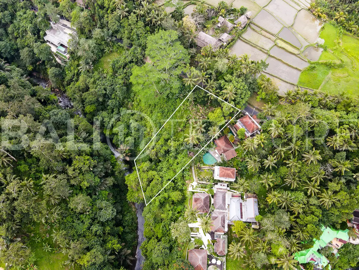 1330m2 ubud land for sale 2