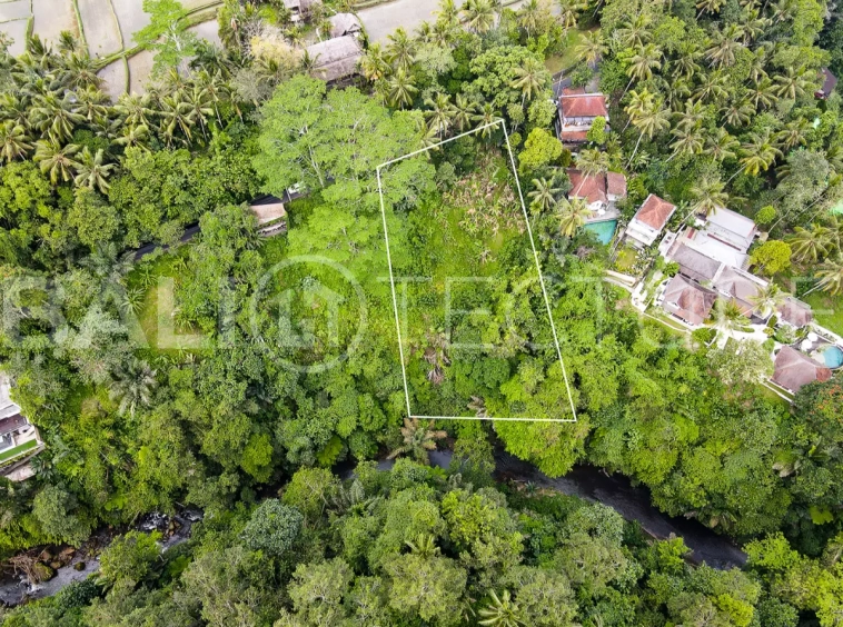 1330m2 ubud land for sale 3