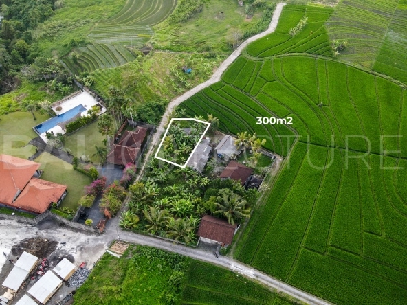 300m2 Stunning Land With Ricefield View Kaba Kaba 2