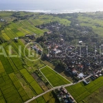 4500m2 kedungu land for sale 2