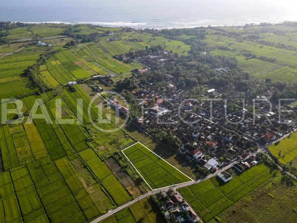4500m2 kedungu land for sale 2