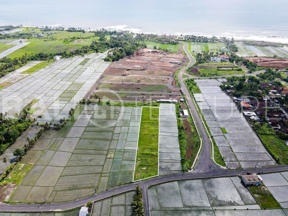 4000m2 land for sale in kedungu 5