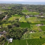 540m2 Stunning Land In Residential Area Nyanyi 3