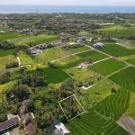 540m2 Amazing Land With Jungle View Next Prime Area Nyanyi 2