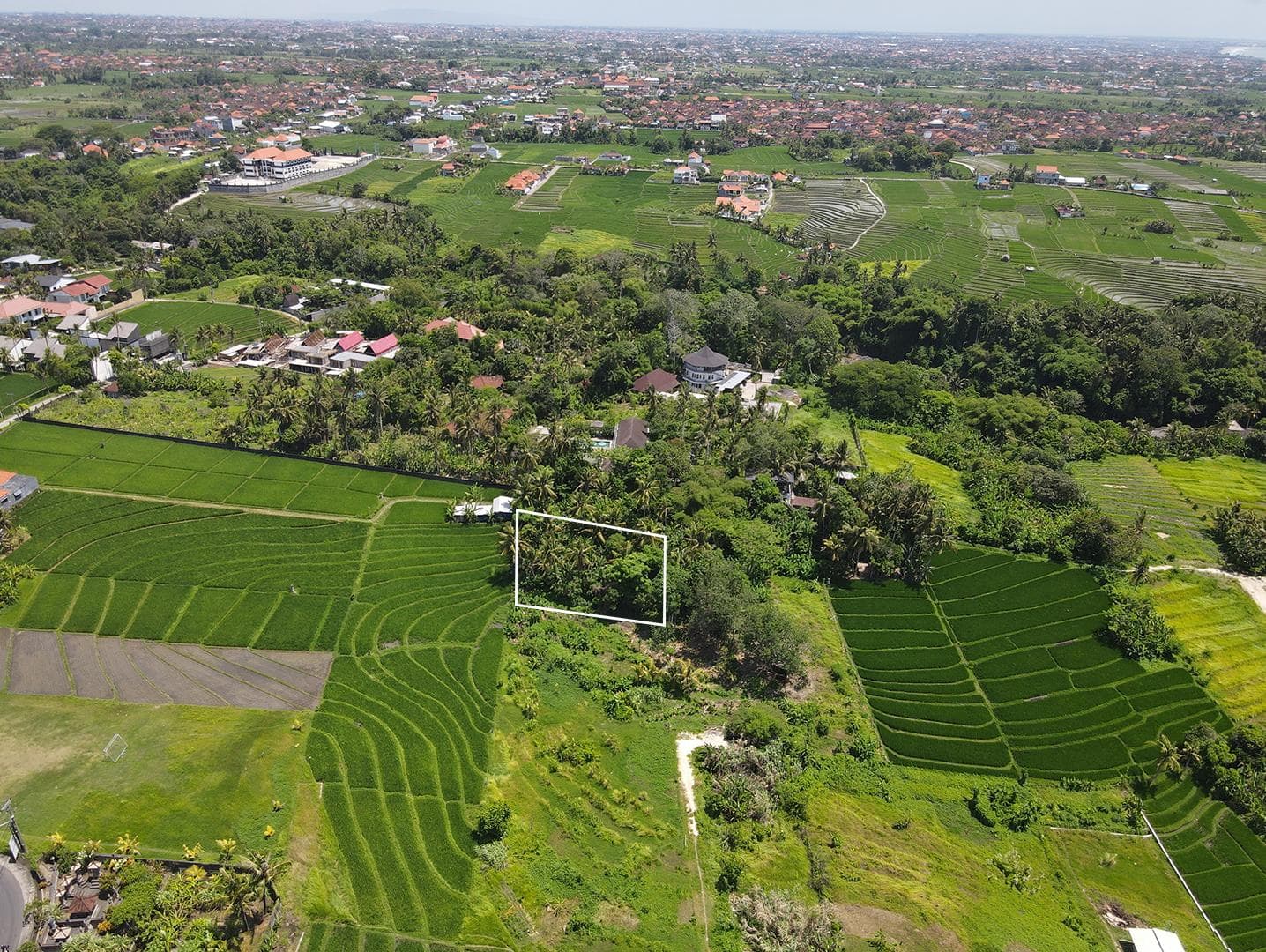 540m2 Amazing Land With Jungle View Next Prime Area Nyanyi 4
