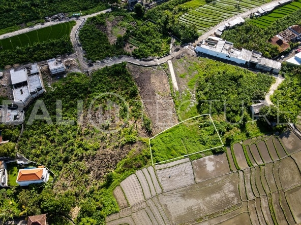 750m2 land with ricefield view in tumbak bayuh 1