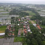 1200m2 Stunning Land With Ricefield In Next Prime Area Kedungu 2