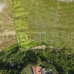 600m2 Stunning Land With Ricefield View In Villa Area Tumbak Bayuh Pererenan 2