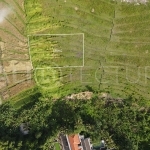 538m2 Amazing Land in tumbak bayuh 2