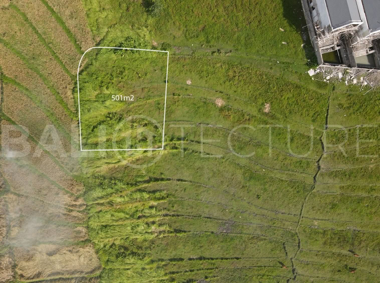 501m2 Stunning Land in tumbak bayu pererenan 1