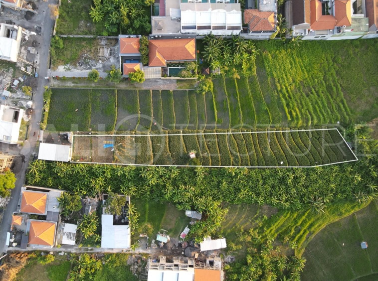1200m² Expansive Plot in Prime Berawa With Rice Field and River Views 1